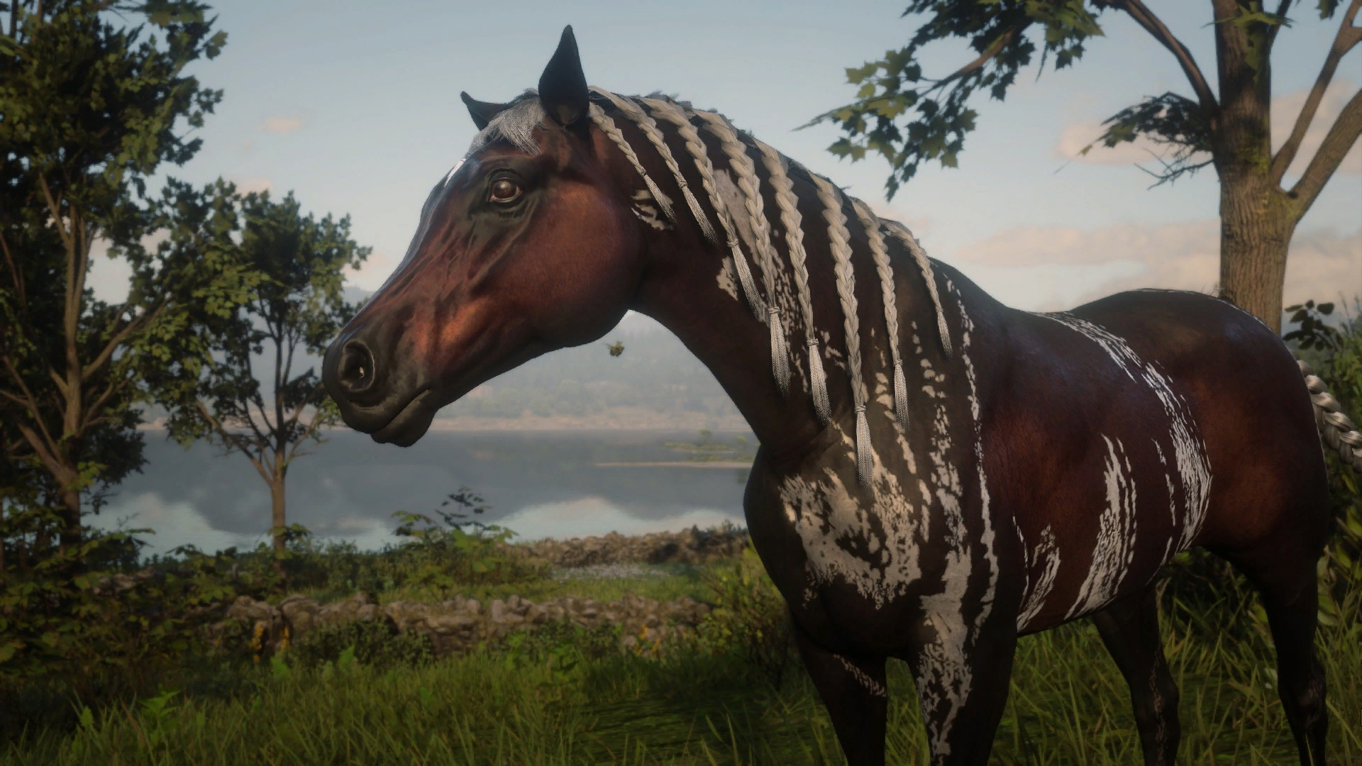 TotalCretin on Twitter: "My brindle Arabian from Red Redemption 2, who I've named Missi #reddeadredemption #rdr2 https://t.co/CuLZQplqI2" Twitter