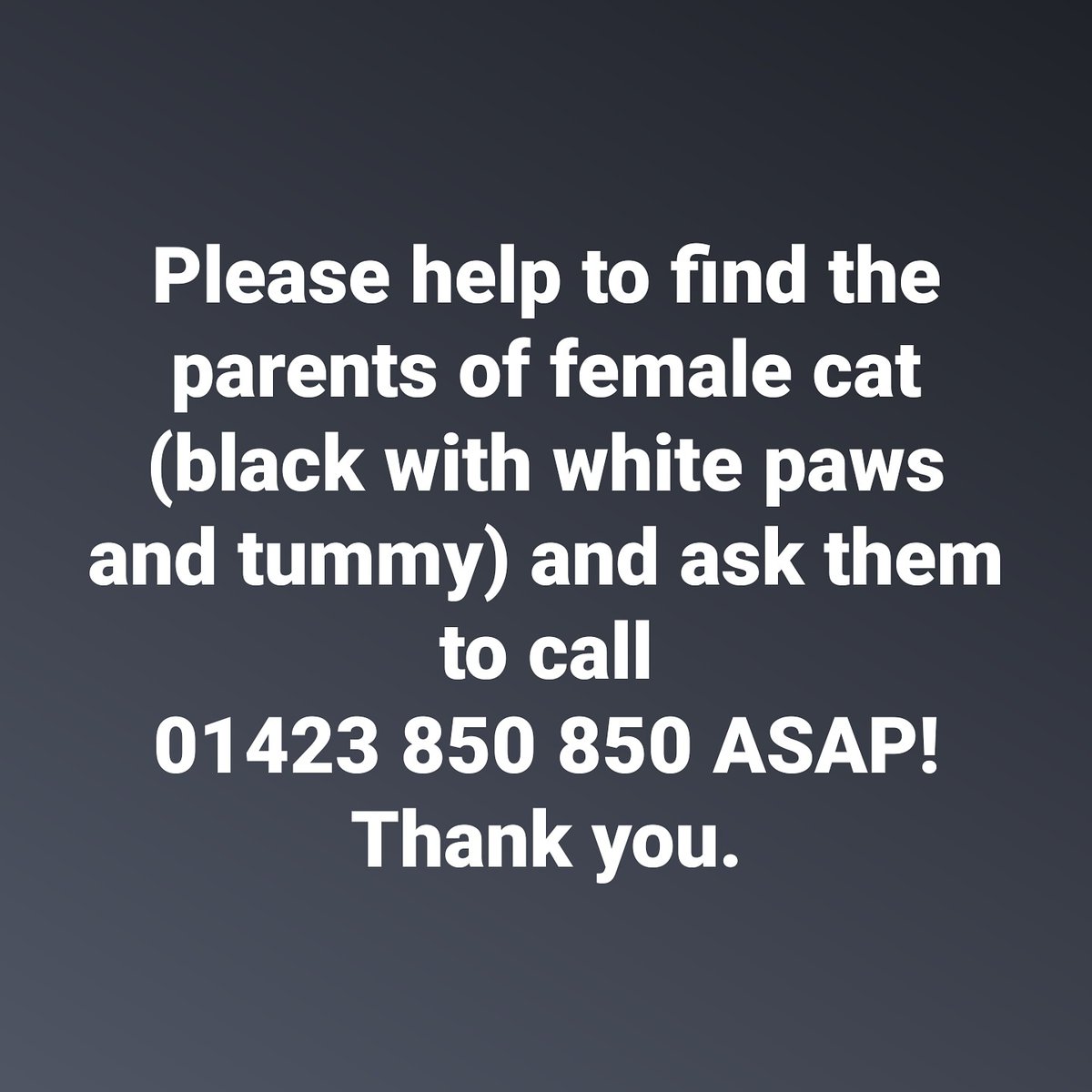 HGNewParkVets's tweet photo. Appeal. #catsofharrogate #petsofharrohate #harrogate https://t.co/kasKqyE7pA