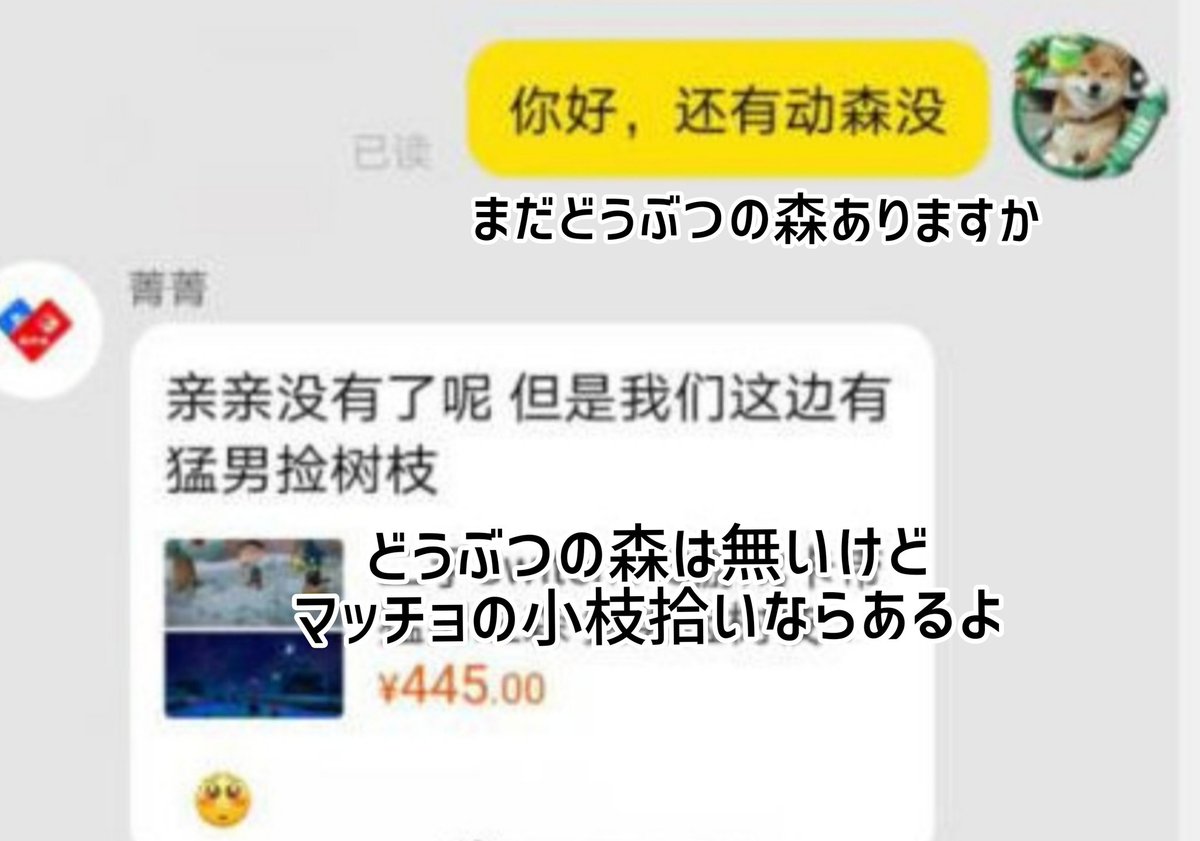 ティエン 中国トレンド Twitter પર 中国でどうぶつの森が禁止に ある販売者は急遽ゲーム名を変更 どうぶつの森 マッチョの小枝拾い ネーミングセンス