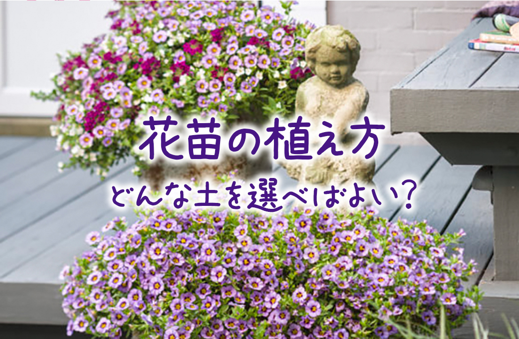 Proven Winners 花苗の植え方 どんな土を選べばよい 買ってきたときはまだ小さな花の苗 そのまま育てていませんか 大きく育ててたくさんの花を楽しむために まずは良い土を使って大きめの鉢に植えましょう T Co Ytpv5k8ers T Co