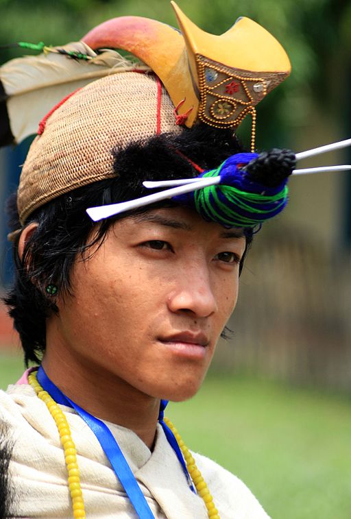 HORNBILLS in India.~ Got their name from Horn-Like Projection called 'CASQUE' on top of their Beak.The Nyishi community of Arunachal Pradesh traditionally wore these beaks as their Headgear but these HUNTERS have now turned into PROTECTORS. @BirdLife_News©Petr Kratochvi