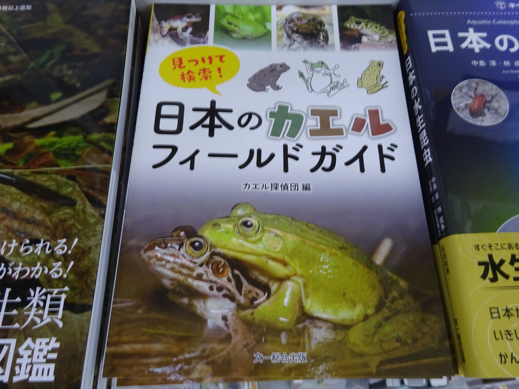 精文館書店 本店3f カエル探偵団 編 見つけて検索 日本のカエルフィールドガイド 文一総合出版 入荷しました 見つけた カエルの名前がすぐわかる 日本にいるカエル全48種の見分けかた 探しかたを紹介したフィールドガイド 精文館書店 本店3f カエル探偵団 編 見つけて検索 日本のカエルフィールドガイド 文一総合出版 入荷しました 見つけた カエルの名前がすぐわかる 日本にいるカエル全48種の見分けかた 探しかたを紹介したフィールドガイド