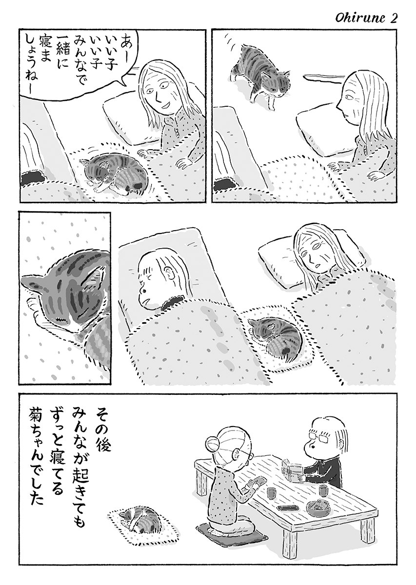 2ページ猫漫画「みんなでお昼寝」 #猫の菊ちゃん 