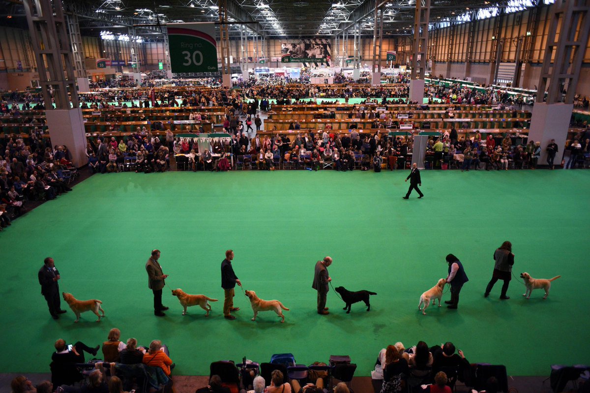 Theseevents are just a couple of examples.155,000 ppl went to Crufts (8/3)11,600 ppl ran the Bath half- “marathon (15/3)Pubs, restaurants, gyms & clubs were busy (until 20/3)SAGE’s  @neil_ferguson said: “Stopping large events has a marginal impact.”  #COVID19  #coronavirus