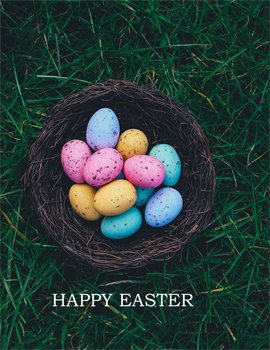 Das Donaubüro Ulm/Neu-Ulm wünscht allen ein frohes Osterfest. 😍🐰🐣