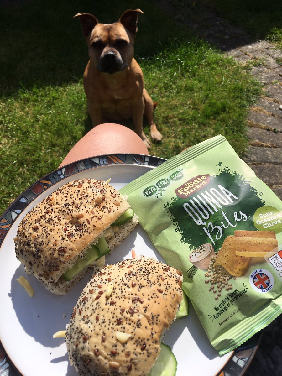 Roo doesn’t understand #Social_Distancing #FoodieMarket #Aldi #dogsduringlockdown