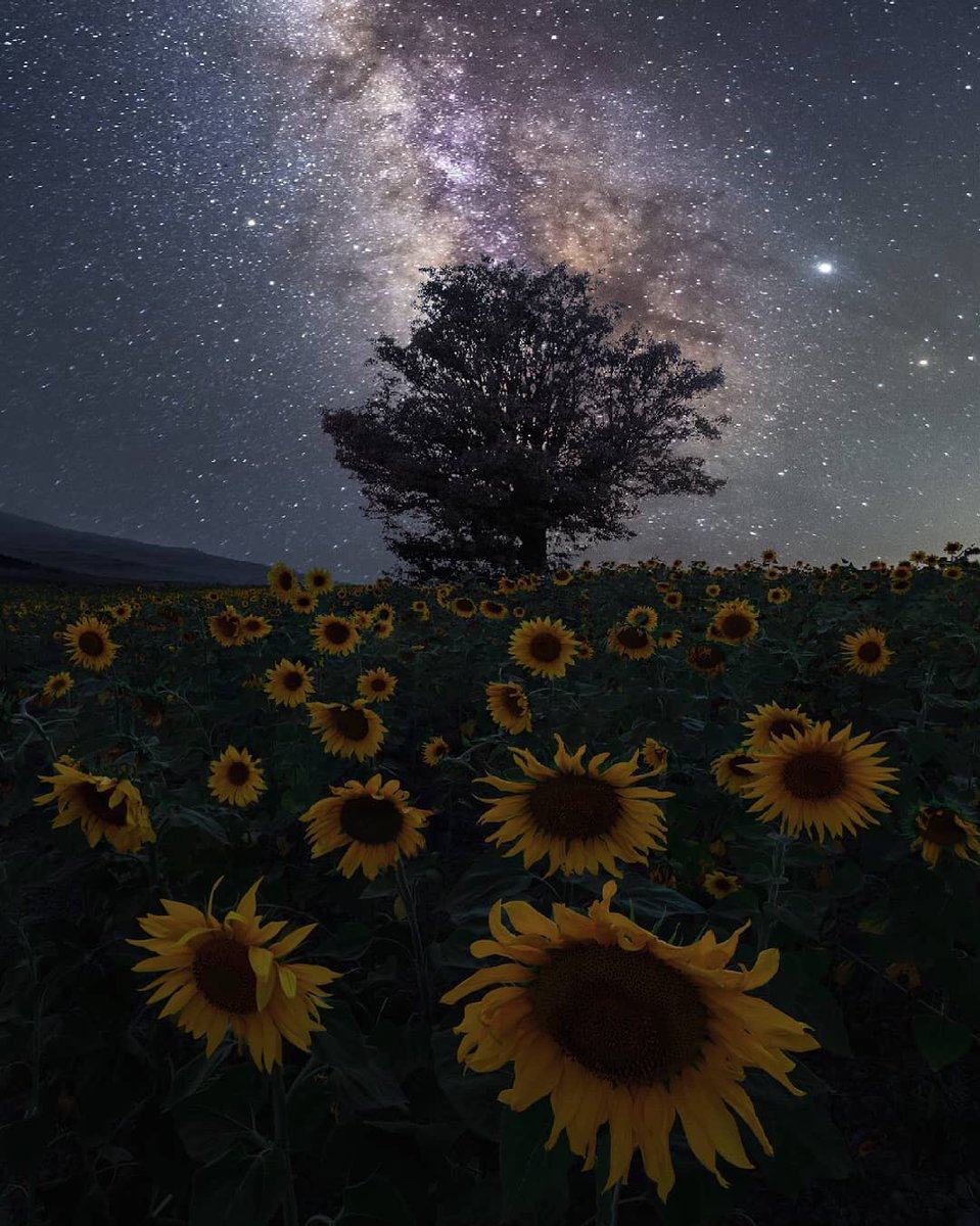 Many died around the world and their survivors cannot mourn as they should. How do you think we can sympathize with them in this situation?
#coronavirus 

📸 I love this, despite the darkness of the night, the brightness of the stars gives us hope. By Nima Omran

📍 Iran, Semnan