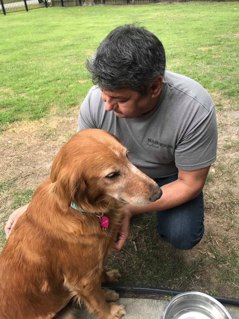 GRASS_Texas's tweet photo. A big congrats to the Martinez family who this month adopted Sweetheart! 💛
Sweetheart is now part of the family to Tony, Wendi &amp; Summer! 
"Sweetheart has become such a wonderful additional to our family. We believe we needed her as much as she needed us."- Wendi https://t.co/P3a09ICJqs