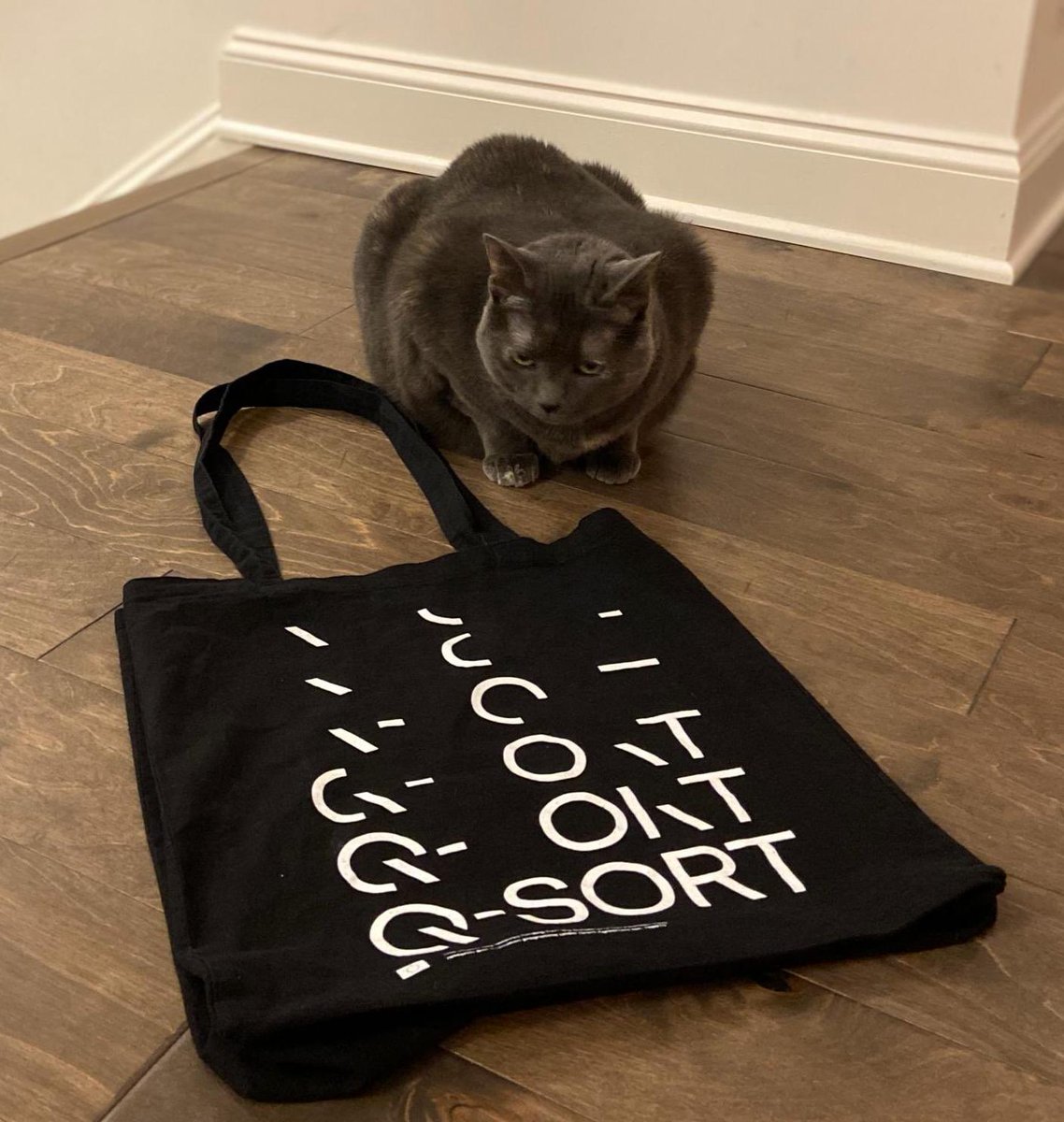quantumsorter's tweet photo. Q (#QSORT's offical cat-in-residence) appraises the typesetting on the Q-SORT bag. 😅 #eufunded #catinscience #design #totebag #science #art
@FETFX_EU @REA_research @StampaCnr @fz_juelich @thermosciEMSpec @UofGlasgow @MaastrichtU @UNIMORE_univ @SuperSTEM_UK @GAeNResearch https://t.co/tnj3WNt1S4