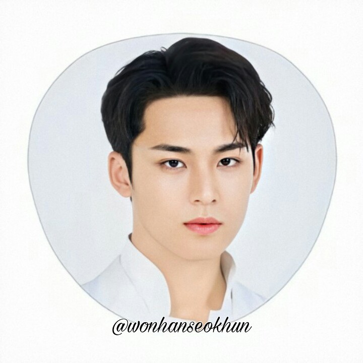 「Japan Dome Tour Merch」 (enhanced hehe )ー Mingyu: