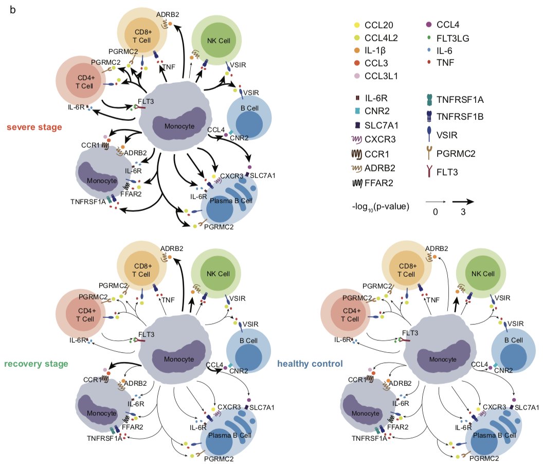 Overall model is that in severe  #COVID19, monocytes are v activated and signal to lymphocytes incl plasma cells to orchestrate the phenotype...