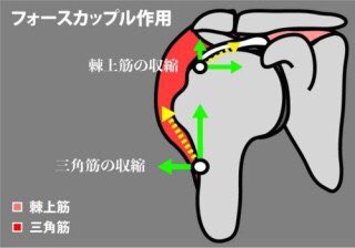 フォースカップル Hashtag On Twitter