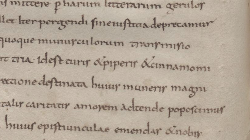 Now let us say you are writing a letter to your mentoress. You are with St Boniface on the Continent busily evangelising and it's 730s. You need to send gifts! What do you send? Well, frankincense, pepper, and cinnamon of course!Wien, ÖNB, Cod. 751, 9th century 12/