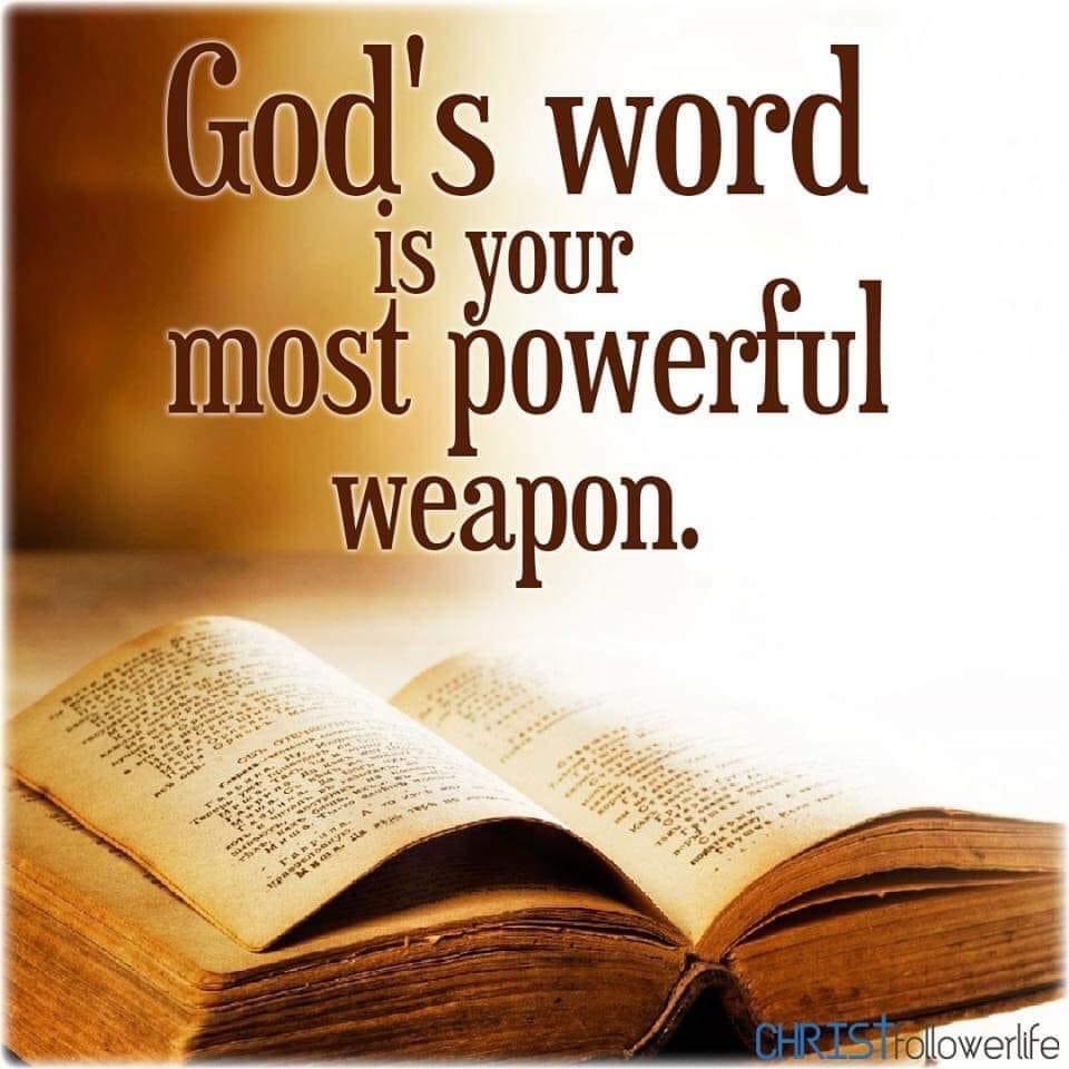 MaryvirginiaM's tweet photo. https://t.co/6izwlLLiYQ