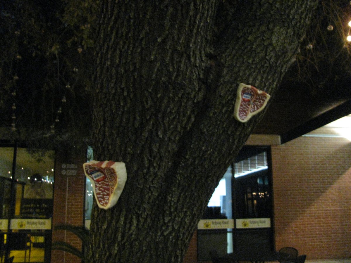 Of course I nailed some (fake) meat to our trees at the theater.