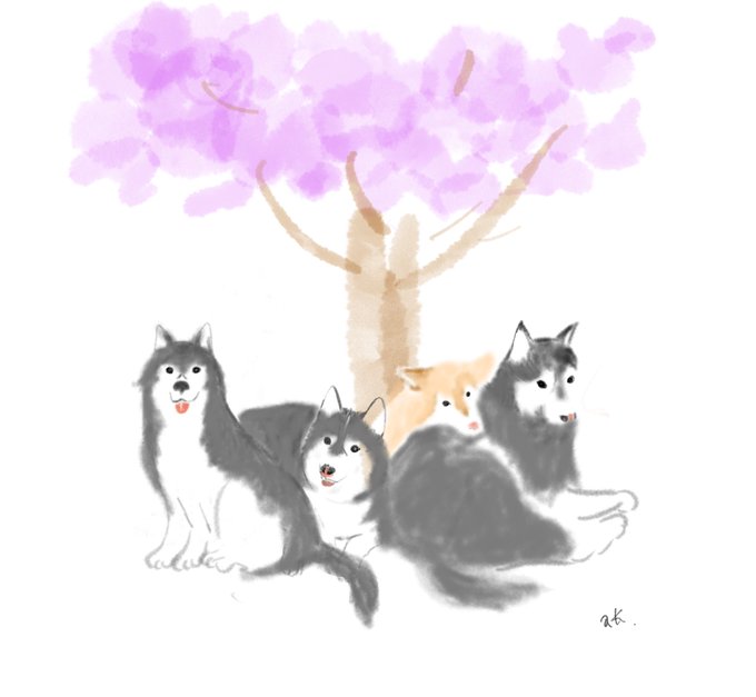 勝手に動物イラストのtwitterイラスト検索結果 勝手に動物イラストのtwitterイラスト検索結果