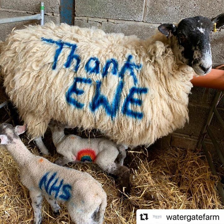 Bedfordshire YFC (@bedsyfc) on Twitter photo Fantastic post from <a href="/watergatefarm/">Watergate Farm</a> !
・・・
A huge thank you to our wonderful NHS.
Nurses, doctors, midwives and all the other wonderful people who work for the NHS behind the scenes to keep the hospitals running smoothly.
Also a huge thank you to all those carers and care ho… Fantastic post from <a href="/watergatefarm/">Watergate Farm</a> !
・・・
A huge thank you to our wonderful NHS.
Nurses, doctors, midwives and all the other wonderful people who work for the NHS behind the scenes to keep the hospitals running smoothly.
Also a huge thank you to all those carers and care ho…