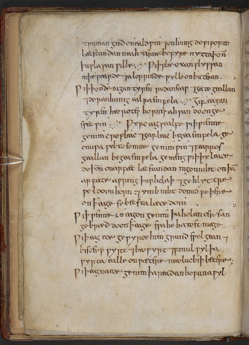 Ok, so we know that spices were present in Western Europe at the time when the grant was renewed. Bald's Leechbook (a collection remedies from EM England) mentions pepper, ginger, and cumin among the ingredients. 14/BL Royal MS 12 D XVII