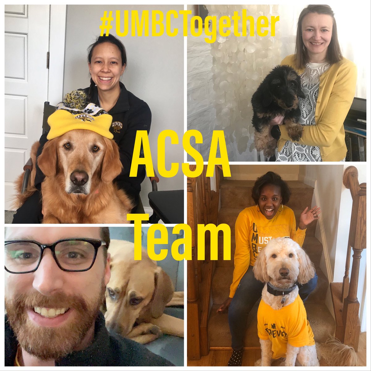 In this week’s edition of #blackandgoldfriday half of our ACSA staff “colleagues” are decked out in their gear and half are wondering what they’re getting paid for these photo ops...biscuits anyone? #UMBCTogether #RetrieverNation ⁦@UMBCAthletics⁩