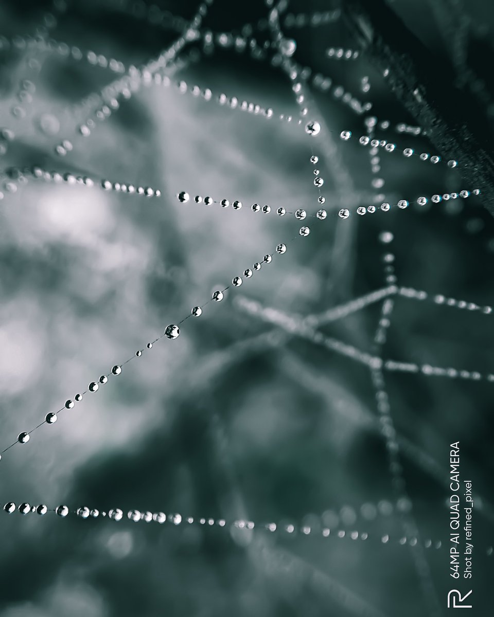 refined_pixel's tweet photo. ❣️Dew Drop❣️

#CloseToCreativity 
#shotonrealme 
Shot on #realmext 
#teamrealme  #shotonrealmext @MadhavSheth1 @realmemobiles @realme @FrancisRealme @NeonVikash @heysiddi @AmlanPati @MaitreyiTweets @sp_patil1 @realmecareIN https://t.co/n62lYrhiHt