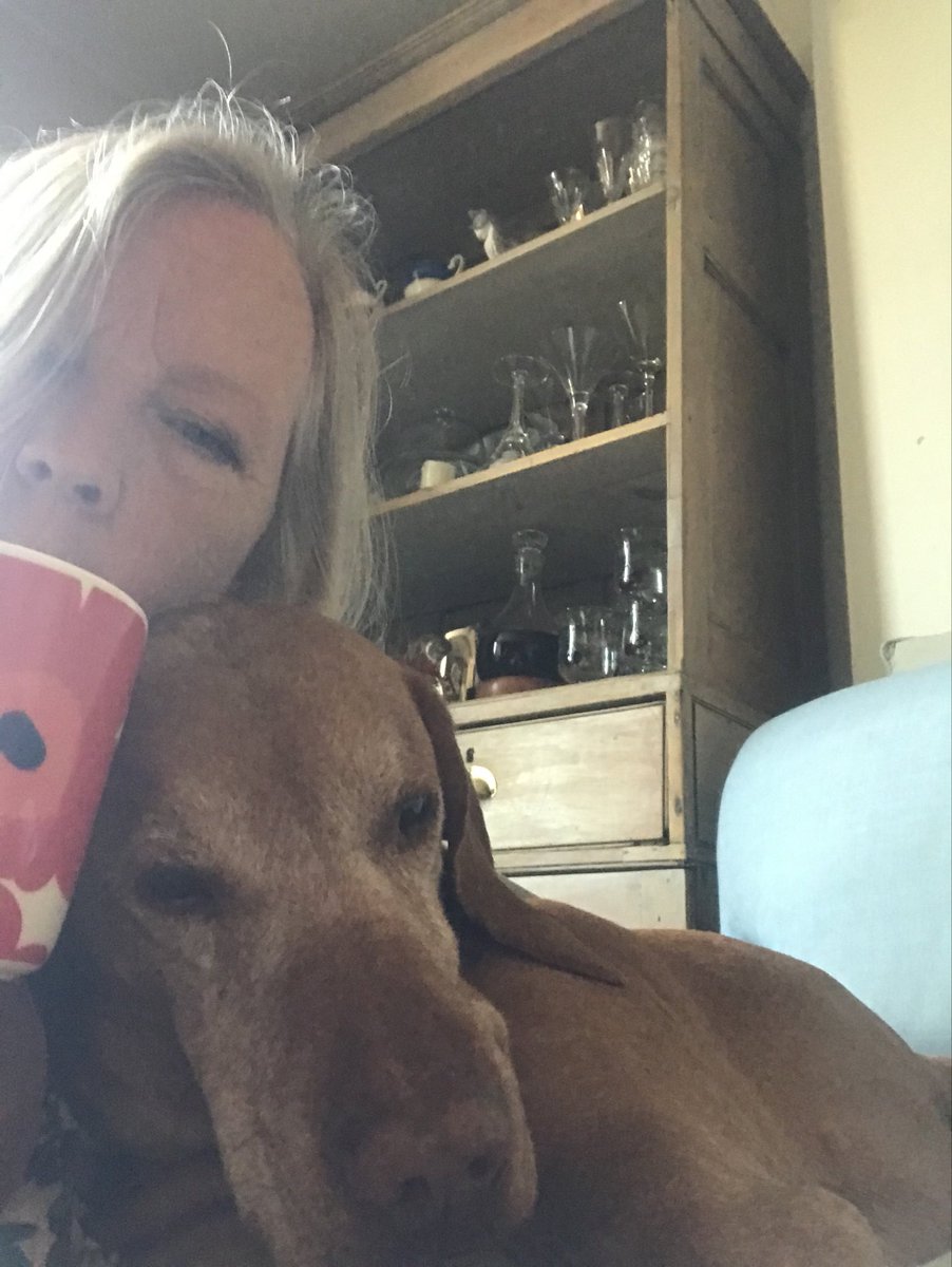 Deborah Meaden 🇺🇦 tweet media