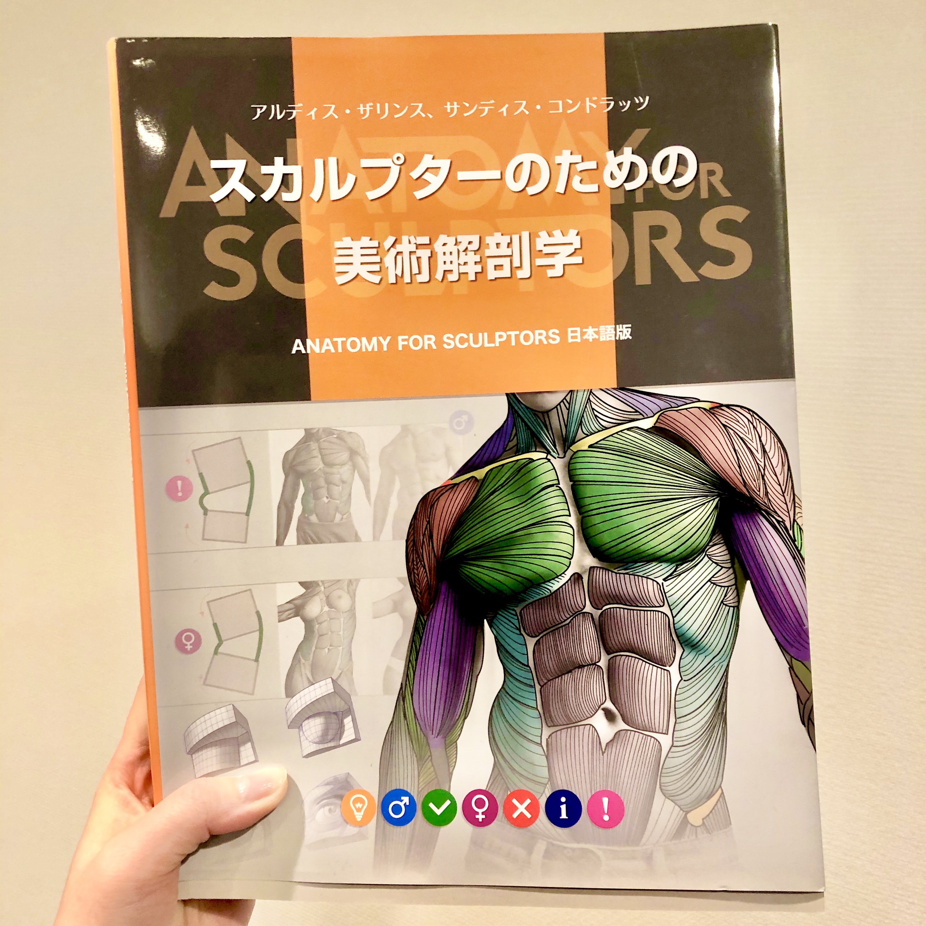 カナバングラフィックス Kanaban Graphics Sur Twitter カナバンスタッフのおすすめ本 スカルプターのための美術解剖学 アーティスト向け美術解剖学のガイドブックです 人体の仕組みが画像で分かりやすく解説されていて 筋肉や骨の形状 動き方まで知ることが