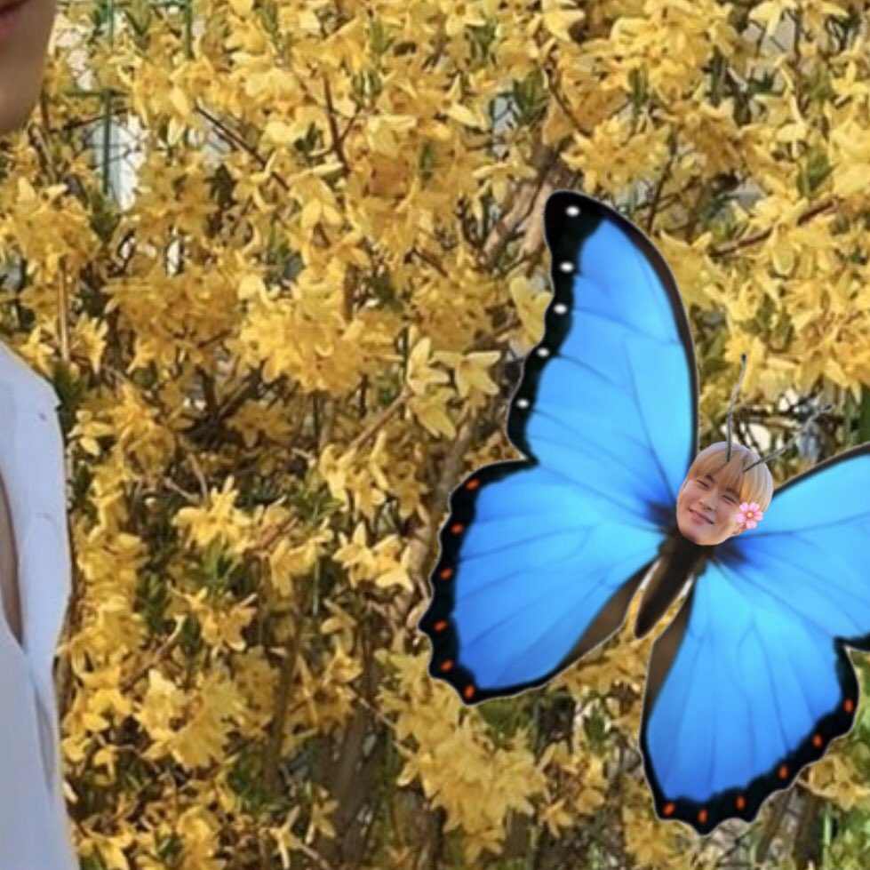 คนสวยกับดอกไม้ มันจะขาดผีเสื้อไปได้ยังไง