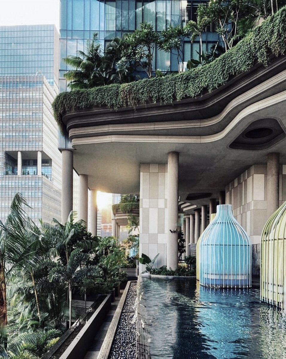花岡 直弥 Naoya Hanaoka 去年行ったシンガポールのパークロイヤルピッカリング ヤシの木に覆われたプールに地層をイメージした建築もすごいけど 太陽光発電や雨水利用などエコフレンドリーなホテルとしても有名 丸の内みたいなビジネス街にあるのマジ