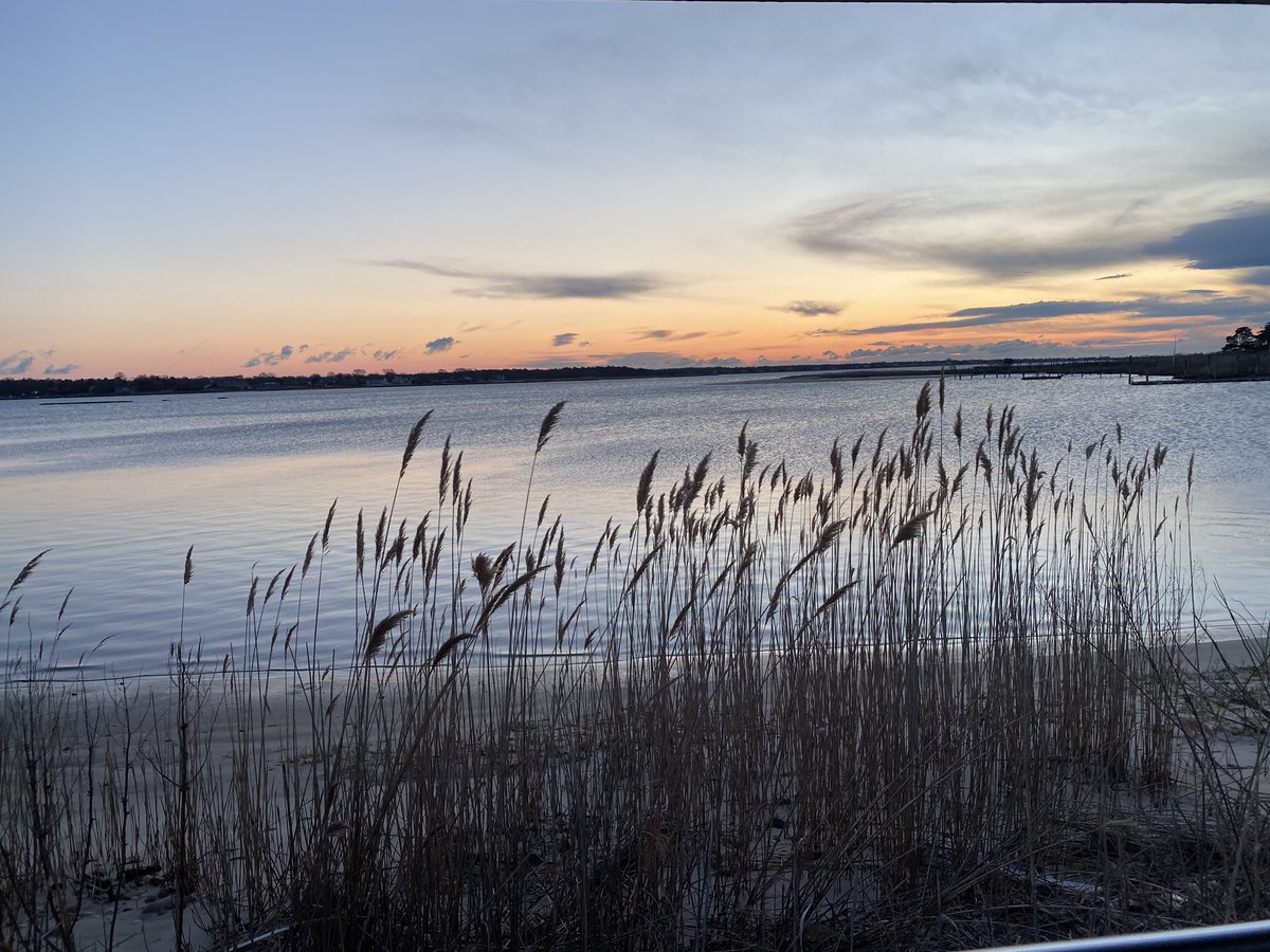 baywater's tweet photo. Good Morning from East Moriches @MattHammer12 @SamanthaAugeri @hoffmanrich https://t.co/wFgCRqKSxG