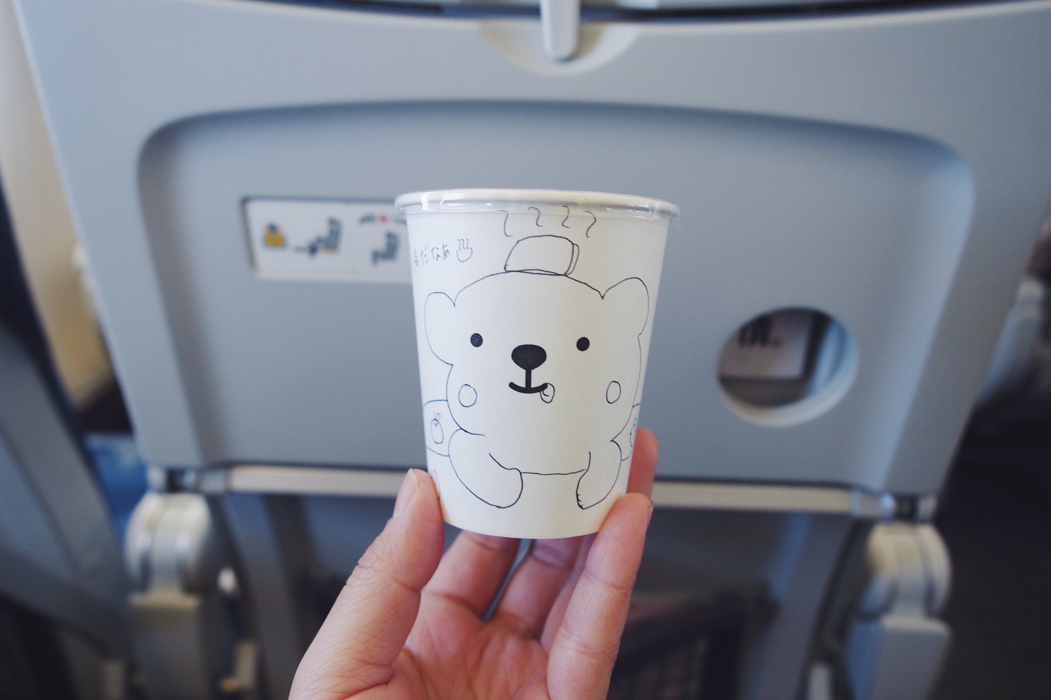 まちこ 先日北海道行く時にエアドゥ使ったのだけど Lcc並の値段なのにオニオンスープとか北海道らしいもの選べるドリンクサービスついてるし 紙コップかわいいしすごくよかった Lccのような切り詰めではなくて 無駄がないけど豊かな印象 飛行機出たとこ