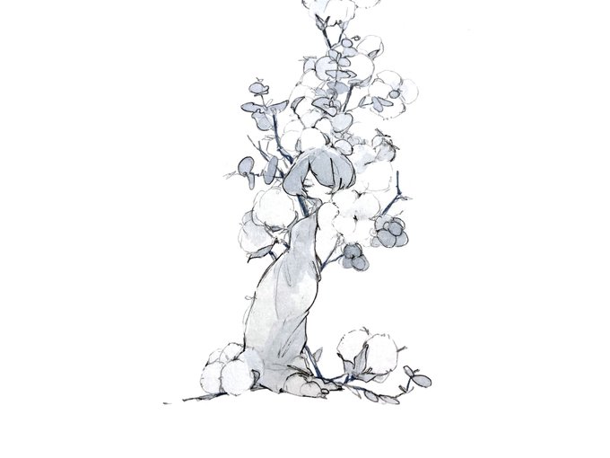 cotton 
