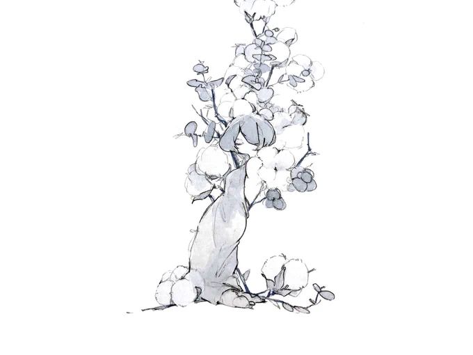 cotton 