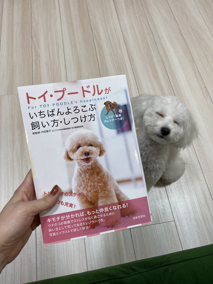 ゆう えっ 2枚目なに寝てるの かわいい