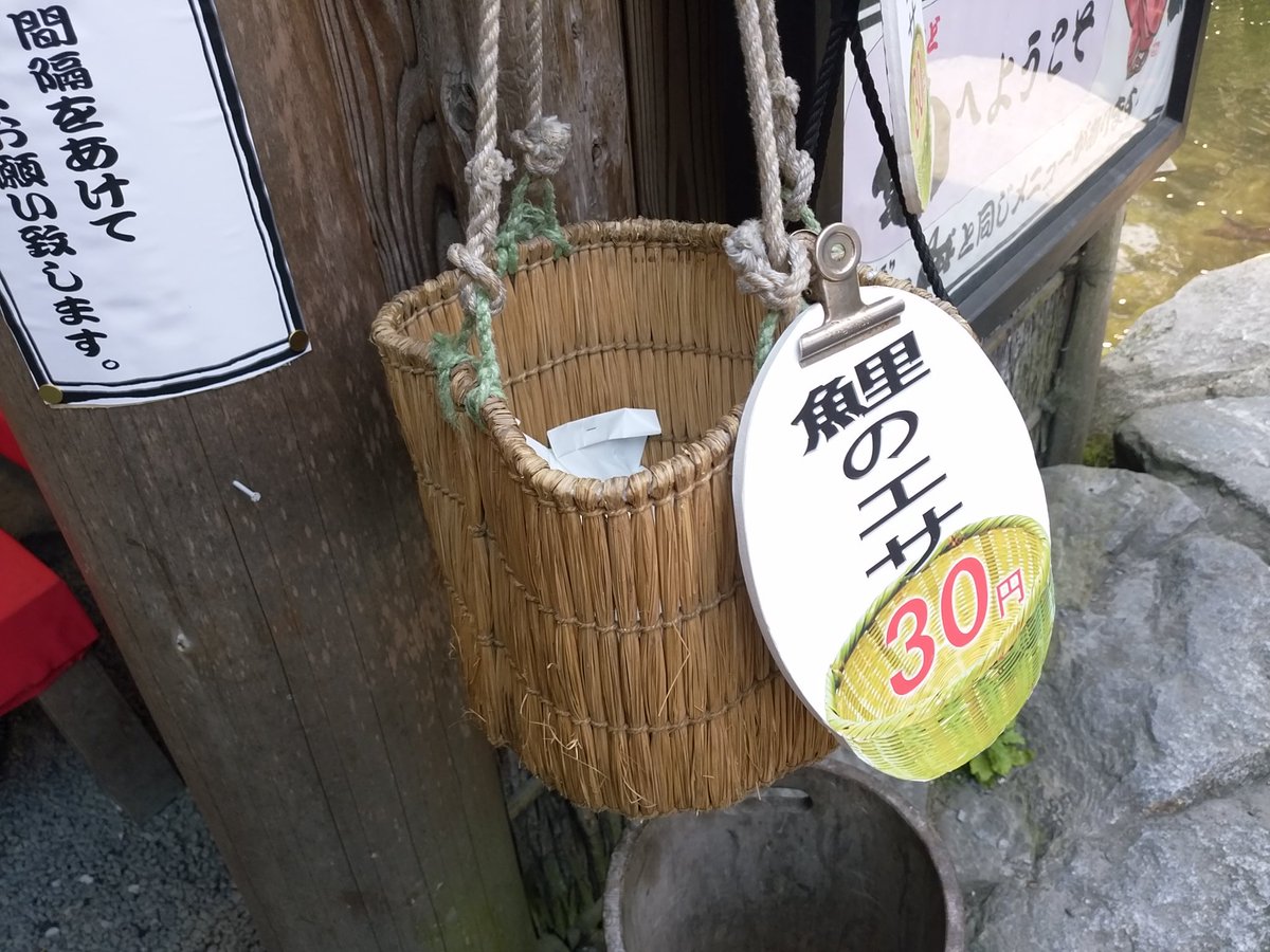 鯉がいつも激しくアピールしてくるので餌三袋を購入して期待にお応えしました(勢いがちょっとこわい) 