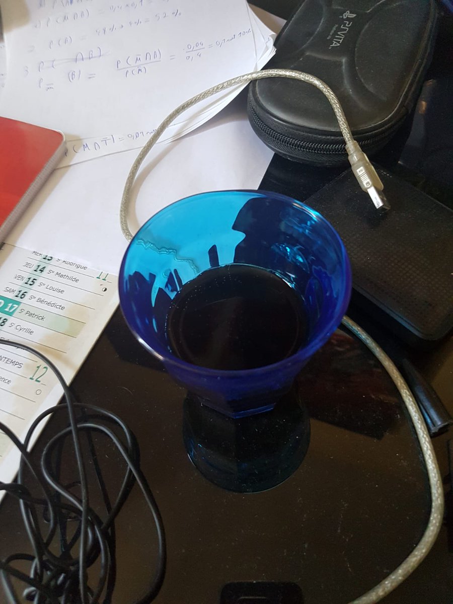 Un verre partagé entre étudiants BTS SNIR 1 et prof, après 4 semaines de travail assidu sur Discord. Bravo à eux pour s'être accrochés ainsi ! #confinement