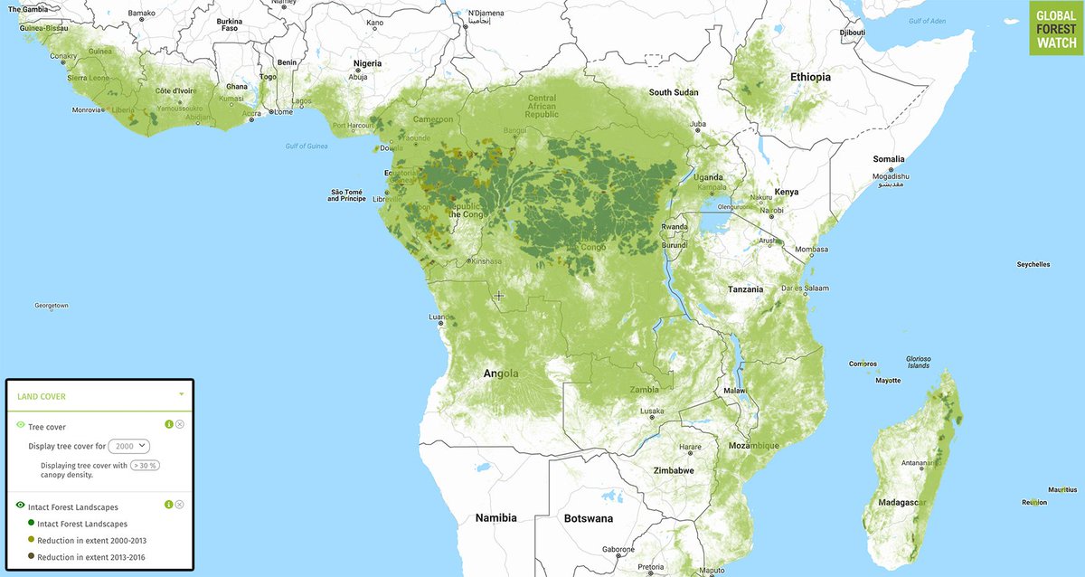 African Rainforests will suffer from a totally new climate of unprecedented heat from 2025 onwards with staggering consequences for all life on Earth.