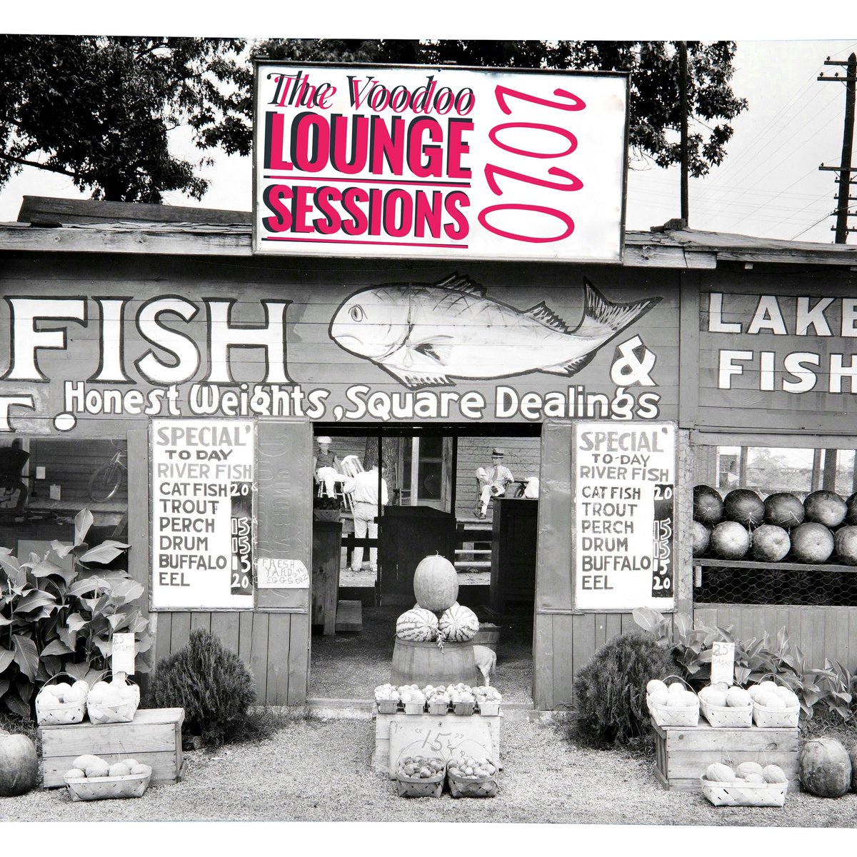 qualifiedsur's tweet image. Michael Chapman - The Voodoo Lounge Sessions Live 2020 - 1 Truck Song 

facebook.com/10000038680444…