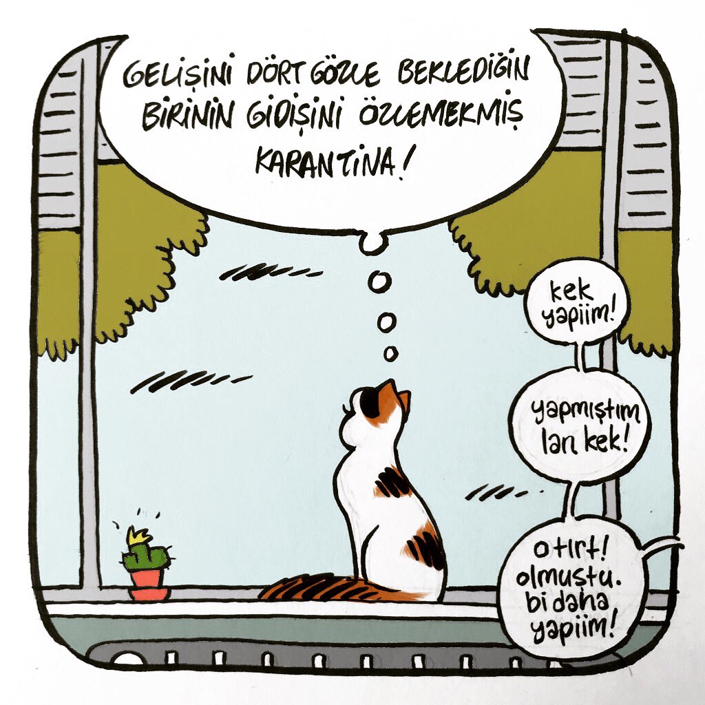 ‘Gelişini Dört Gözle Beklediğin Birinin Gidişini Özlemekmiş Karantina’ 🐾