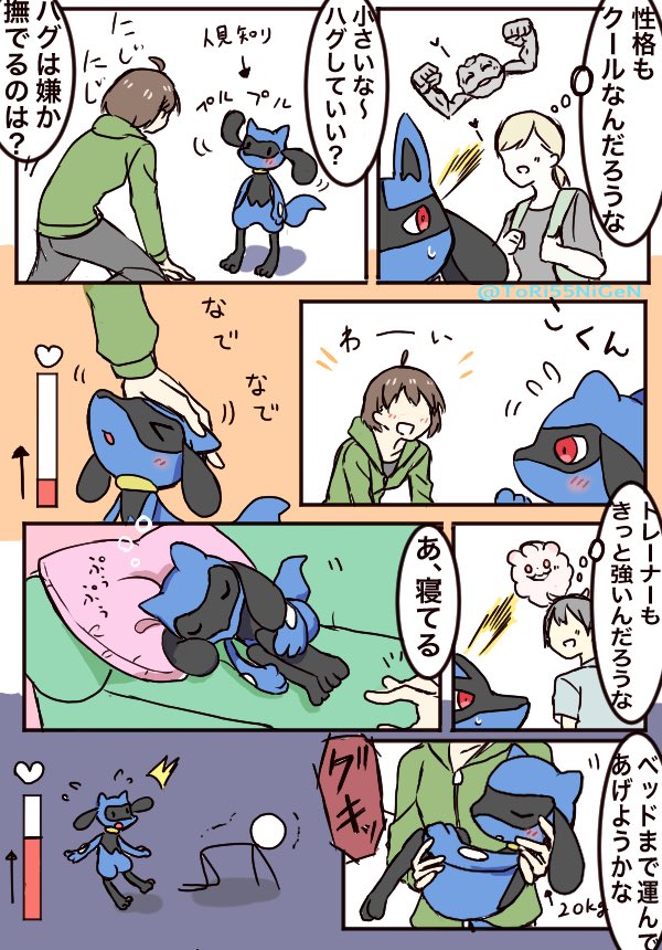 #ポケモンと生活
進化が早すぎたリオルと受験生 