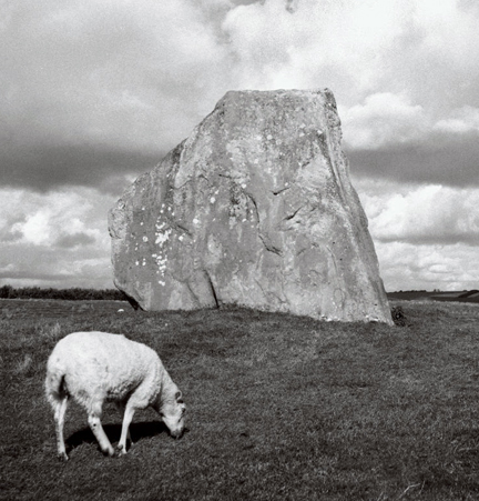 For all you sacred site fans here's one of Peter's early shots of Avebury Cove (plus sheep). #sacredsites #avebury #standingstones