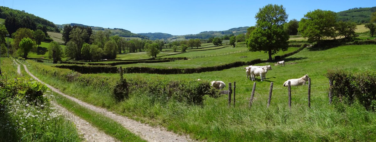 paysage de saône et loire