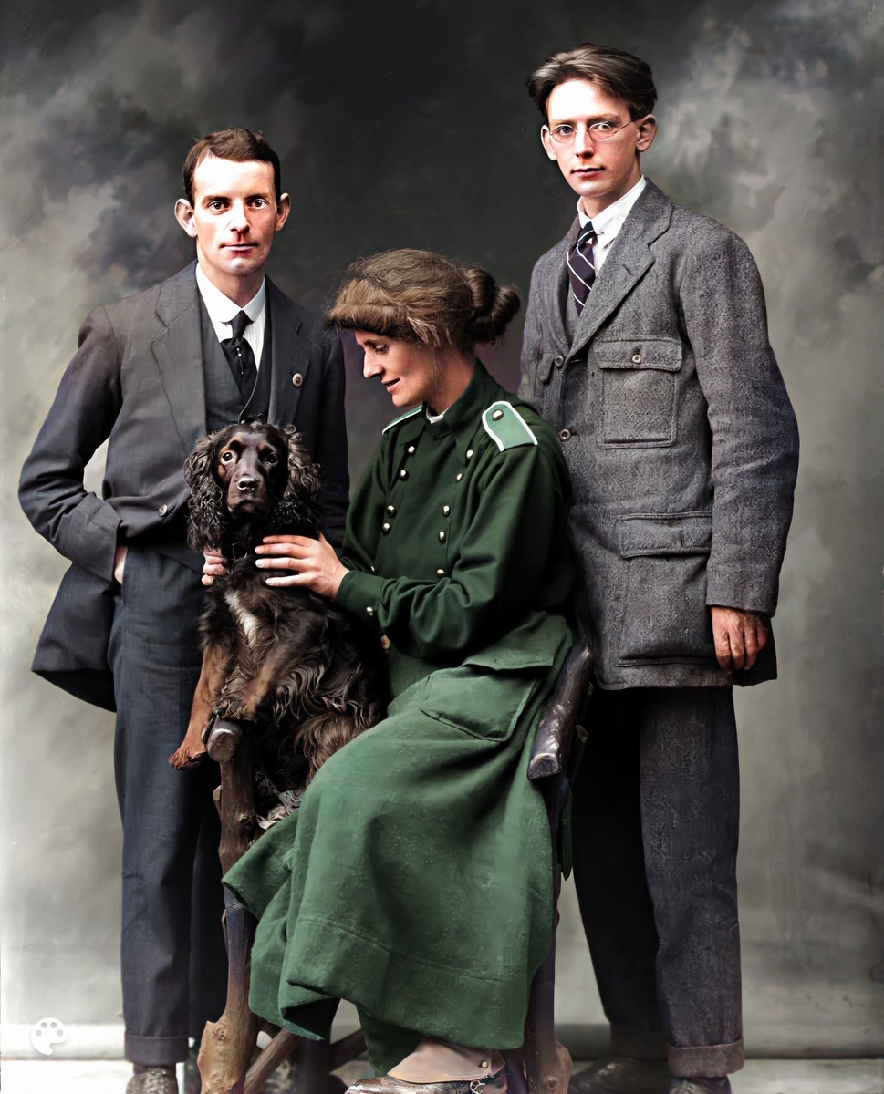 George Galloway tweet media