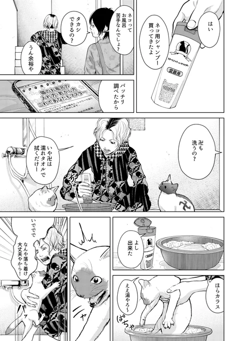 「不良がネコに助けられてく話」31話

を描きました 