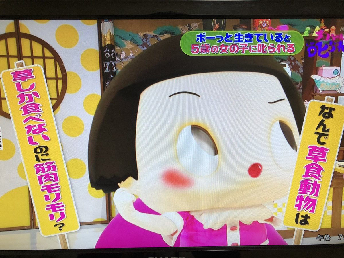 なぜ草食動物は草しか食べないのに筋肉モリモリ 生命の進化の巧みさに驚き チコちゃんに叱られる Togetter