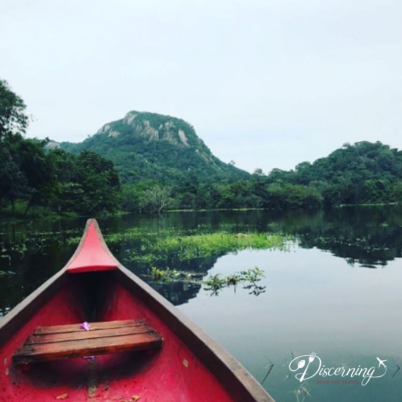 Who else is missing the outdoors? ☀️ Here's a #throwback to my visit to the #ulpotha yoga retreat in Sri Lanka. Stay safe, everyone! ❤️

Follow my Instagram: instagram.com/discerningfood…