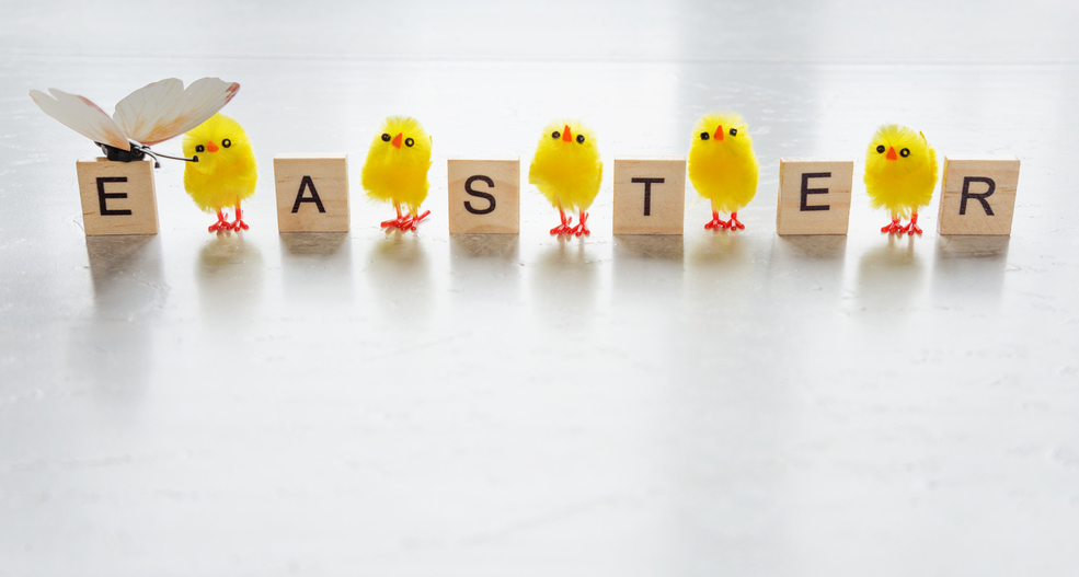 Warwick_DC's tweet photo. The Council is now closed for Easter until Tuesday 14 April at 8:45am.

➡️ For service info and emergency contacts, visit https://t.co/oVtIn7Btv2

➡️ Refuse &amp; recycling collections will continue as normal (except green bins)

Happy Easter! #StayHomeSaveLives #WDTogether https://t.co/vbVSmoa3xA