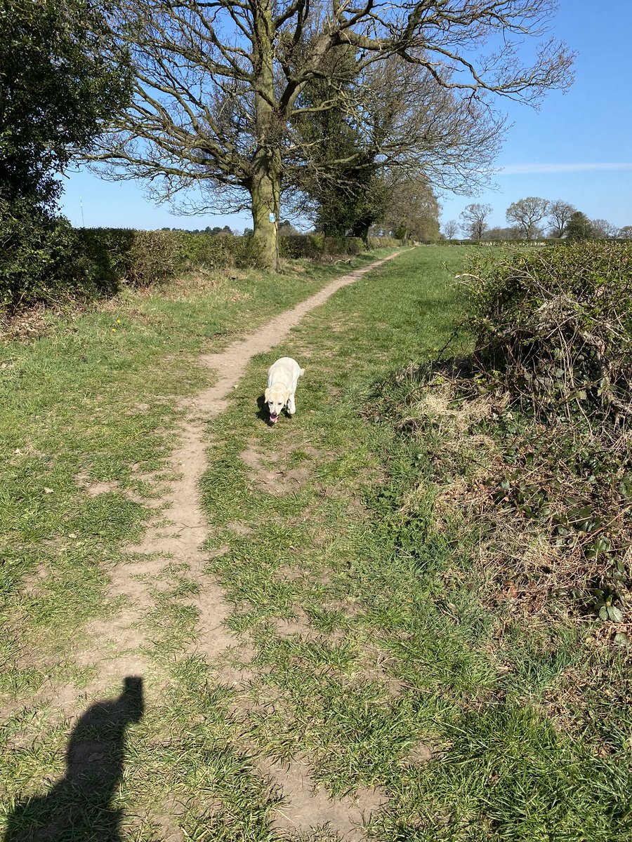 Danny Flanagan tweet media