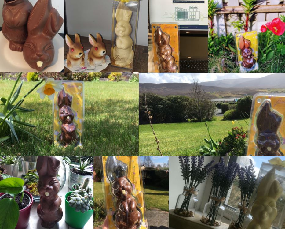 The Easter Bunny made a special delivery to everyone at CarTrawler this year! We want to say a big thank you to our Sport &amp; Social Team for continuing to boost morale and deliver #craic while working from home #values #engagement #workfromhome