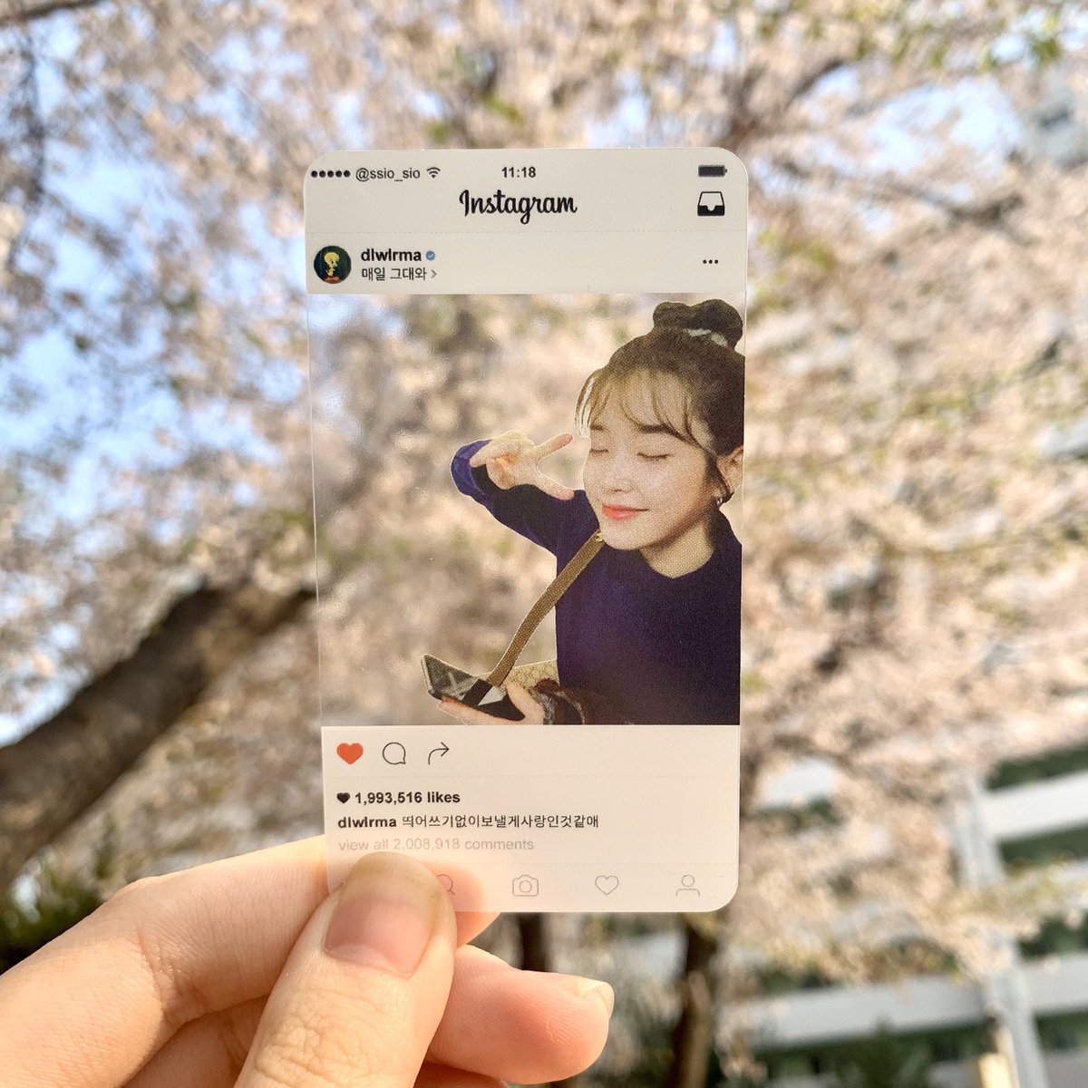 cconlineshop_'s tweet photo. [UPDATE]
Actual Photos of the transparent cards
#CCOSupdates https://t.co/e4CXI4ORJ7