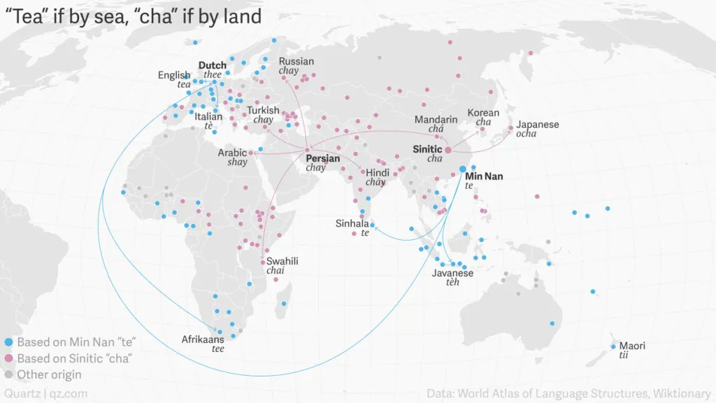 Chinese word for tea, cha, which the British turned into tay, which then evolved into tea; this is what the western world came to call the leaf of the Camellia sinensis plant. Today, both Japanese & Chinese say “cha” for tea, and the Indians say “chai.”Image HT  @PratikshaDake